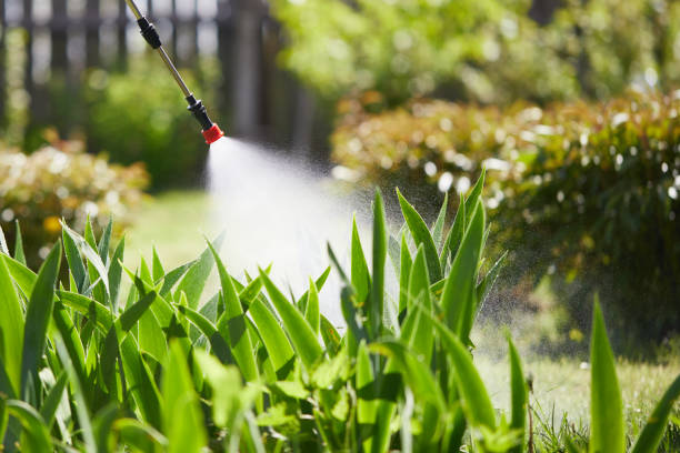 24/7 Emergency Cockroach Control experts in Bullard, TX